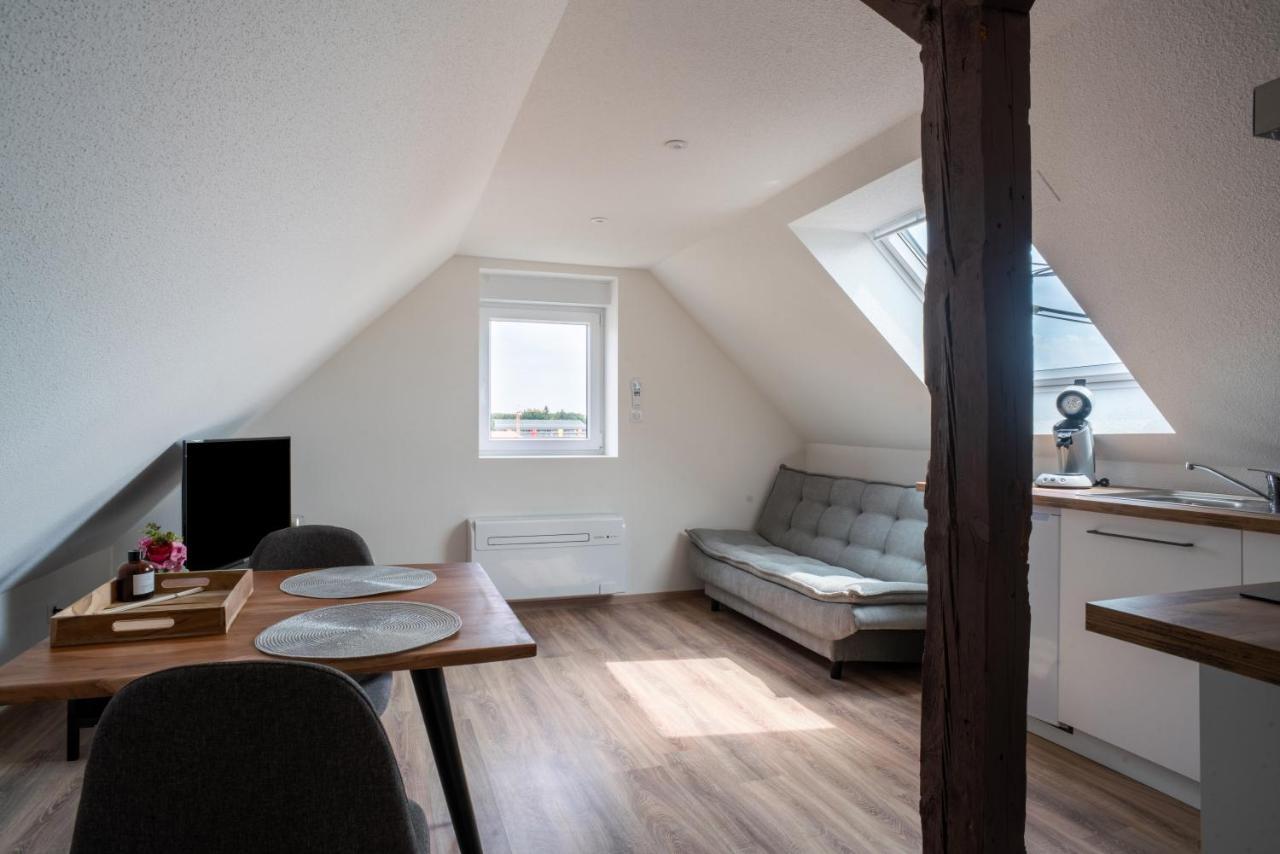 Gemuetlich 7 - Appartement Cosy Climatise Wissembourg Exteriér fotografie