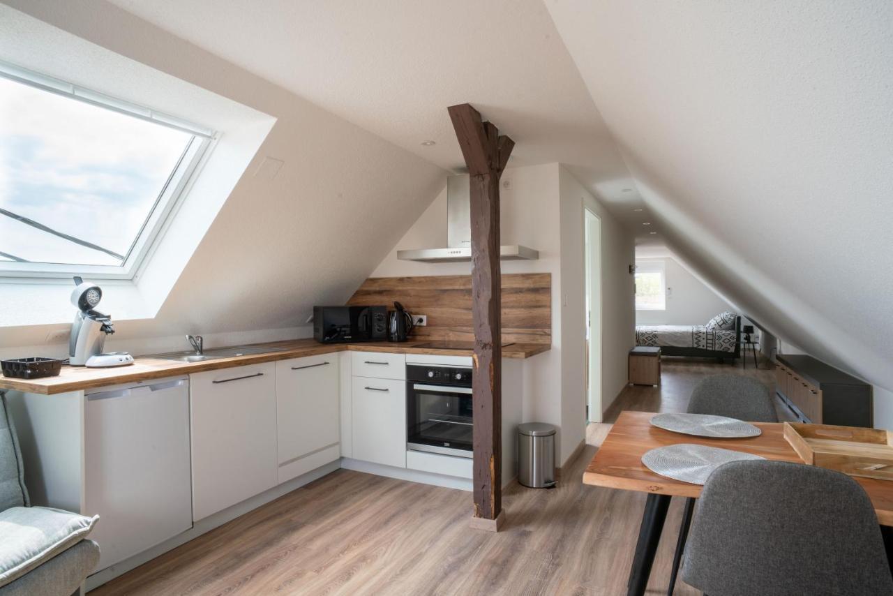 Gemuetlich 7 - Appartement Cosy Climatise Wissembourg Exteriér fotografie